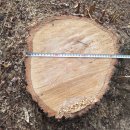 은평-020 이미지