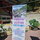 옥천암 | 서울 옥천암 다녀왔어요.
