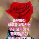 사랑님. 부초같은 인생. 이미지