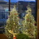 멍그니엘 애견호텔 경기광주점 | 경기광주애견동반카페 그랜마스 클럽샌드위치커피세트 즐기기