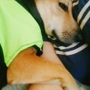 순풍동물병원 이미지