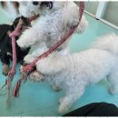 소중한아이들유치원 이미지