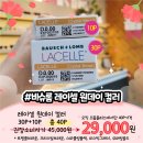 으뜸플러스 안경 청주성안길점 이미지