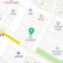 요미독 강아지분양 요미캣 고양이분양 목동점 이미지