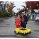 아름다원 이미지