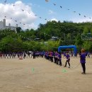 서울대조초등학교 이미지