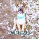김도연피부