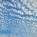 키친달팽이 이미지