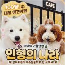나라애견 | 가볼만한 곳 추천] 700평 대형 실내 애견카페 인형의 나라 방문 후기 (송도 애견카페·실내 가볼만한 곳)