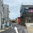 오아시스치과의원 | 추성훈 먹방으로 유명한 제주 애월 '마초스테이크'