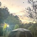 초미동길 | 👍🏻금산 만악리수목원 오토캠핑장 후기🏕️ #A5사이트
