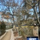 강강술래길 | 강강술래 늘봄농원점 후기