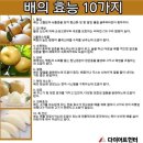 건강만세 --16-- 고단백 노인영양식---단백질이 부족한 노인들---가을 제철음식 이미지