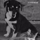 다가온동물병원 - 평택시 평택2로 130 | 다가온동물병원