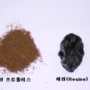 프로폴리스(Propolis)의 어원 이미지