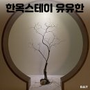 스테이유유 이미지