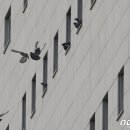 동부-14 이미지