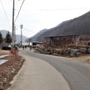 오전2리생달 이미지