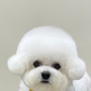 멍 삼촌 이미지