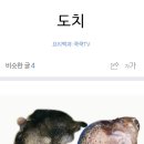 순자네매운탕
