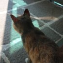 외포리꽃게마을 이미지