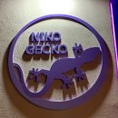 니코게코 | 이태원 경리단길 가볼만한 곳 파충류샵 니코게코 NIKO GECKO