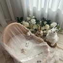 화이트래빗 | 50일 아기 셀프 촬영 &#39;리틀피오니&#39; 화이트래빗 소품대여 내돈내산 후기