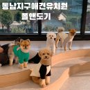 폴앤도기 | 동남지구 애견유치원 폴앤도기 개린이 후추의 후기