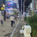 퓨전노래콜 이미지