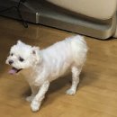 시실리 공덕 이미지