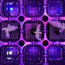 국민대학교 디자인대학원 이미지