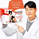 현대 강아지＆고양이 | 안티놀 래피드 강아지 고양이 관절 영양제 240캡슐 리얼 구매후기 슬개골 관리 끝판왕 추천