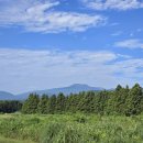 제주에코 | 제주 에코랜드cc 노캐디 라운딩 후기