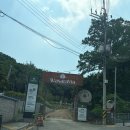 맘보비어 | [의왕맛집]백운호수/고기집/당나귀/메뉴추천/아이랑/내돈내산/웨이팅없이/와싸라비아 부시기!