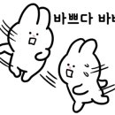 베리트실용음악학원