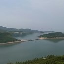 고슴도치펜션 이미지