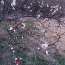 기우농장 이미지