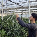 다진농장 이미지