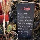 스토브온제주 이미지