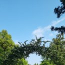 열린공간(주) 이미지