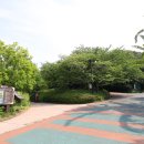 새진흥슈퍼 이미지