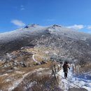 습관도 습관이다 이미지