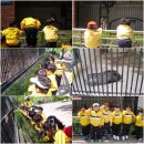 ♡ 즐거운 봄소풍 -광주우치동물원 2 ♡ 이미지