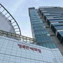 목동역 미용실 보그헤어 RC2 헤어 클리닉 제이실장님 후기