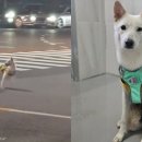 야밤 이미지