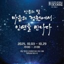 미디어팁