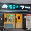 멍블리 펫 이미지