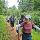 가평산속요양병원 이미지