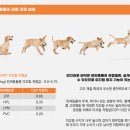 유세이프 이미지