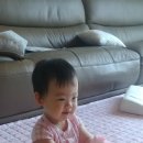 퐁당스윗 이미지